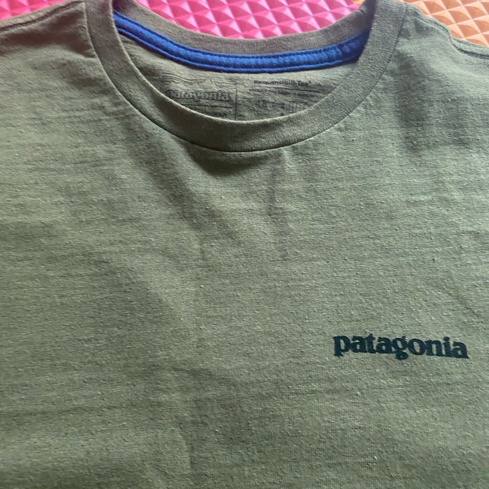 Patagonia Forest Green Short Sleeve Tee regular fit size M - Picture 2 of 9